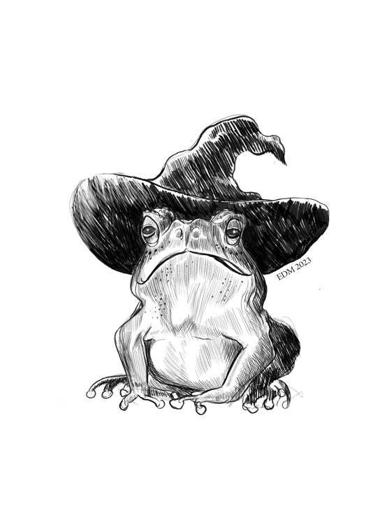 Witchy Frog